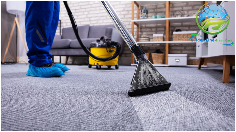 Carpet Cleaning: What Is The Best Time of the Year To Do It?